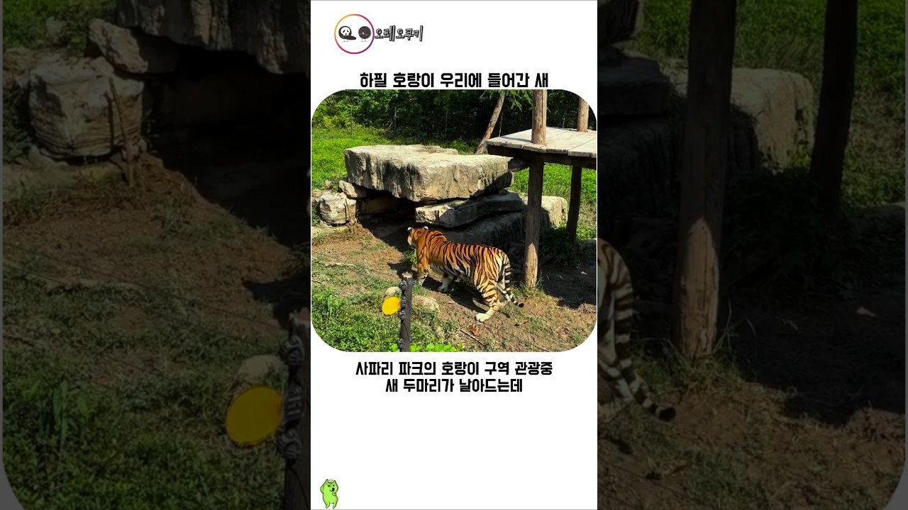 하필 들어가도 거길 들어가냐