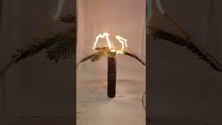 High Voltage Vs Branch - Electrical Arc #Shorts #Highvoltage #Destruction