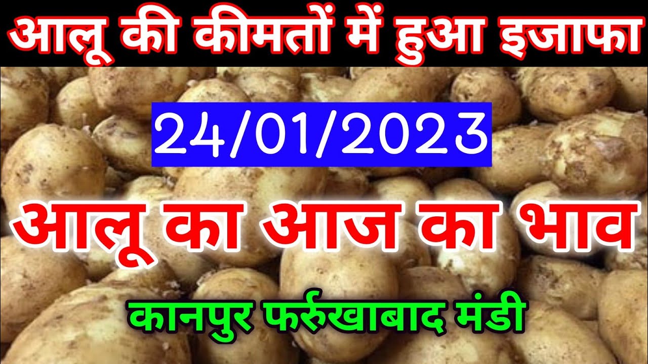 24 January 2023/आलू का आज का भाव फर्रुखाबाद मंडी/potato mandi rate