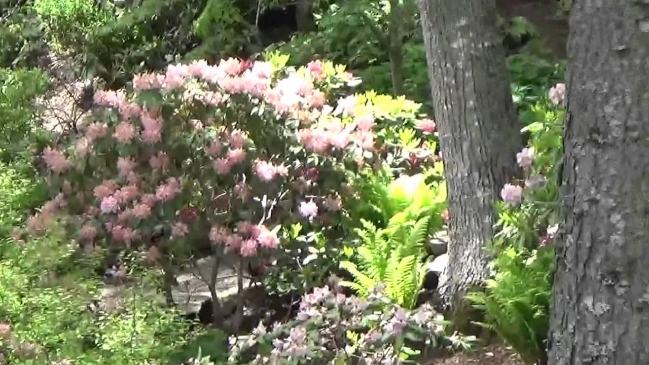 Landscaping Flower Garden Videos YouTube