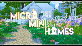 Micro-Mini-Homes Raw Starter