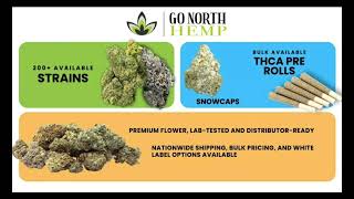 THCA Pound Deals You’ll Regret Missing – October 2025 Update