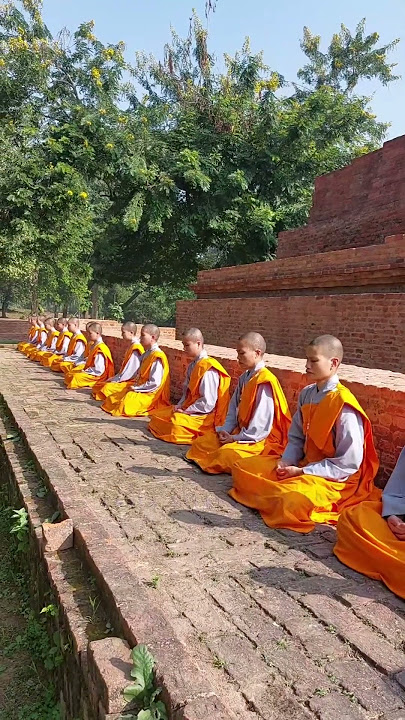 මෑනීවරුන්ගේ භාවනාව | Meditations of the Mani | GUNADARMA | #short