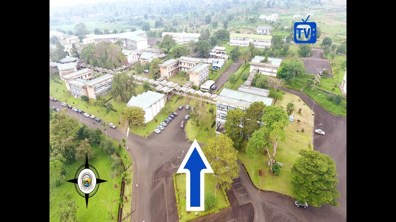 Road From Second Gate to Faculty of Arts and Amphi 250 - University of Buea Navigation Guide