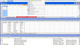 Usporiadanie Aktivnych Zositov Zvisle X264