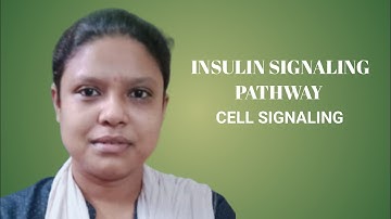 INSULIN SIGNALING PATHWAY//CELL SIGNALING