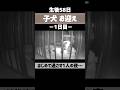 【子犬】お迎え当日⑤ #キャバリア #shorts