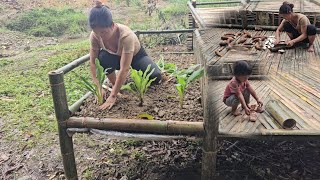 Build A Bamboo Floor Filled With Soil To Grow Vegetablesdig And Dry Cassava On The Floor