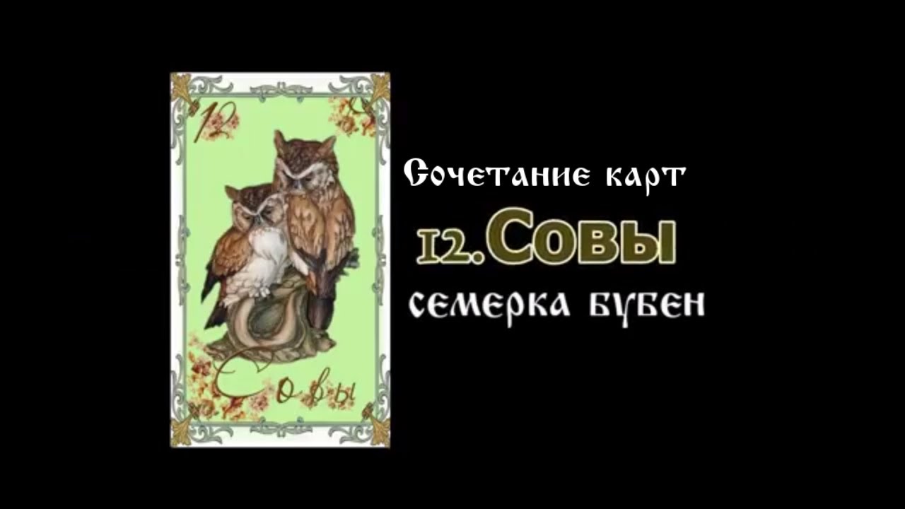 Карта совы ленорман значение