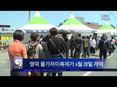2017 영덕 물가자미축제가 4월 28일 개막