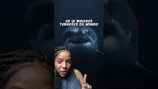 THE 10 LARGEST SHARKS IN THE WORLD 🦈