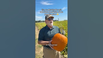 it’s not officially fall until Dad starts complaining about pumpkin prices 🎃 #shorts