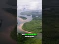 Amazon Deforestation: Brazil's Dying Rainforest Revealed #shorts