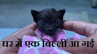 Ghar Me Ek Billi Aa Gyi 🐱| Ankit Kumar Vlogs | The Melodic Monk Vlogs #themelodicmonk