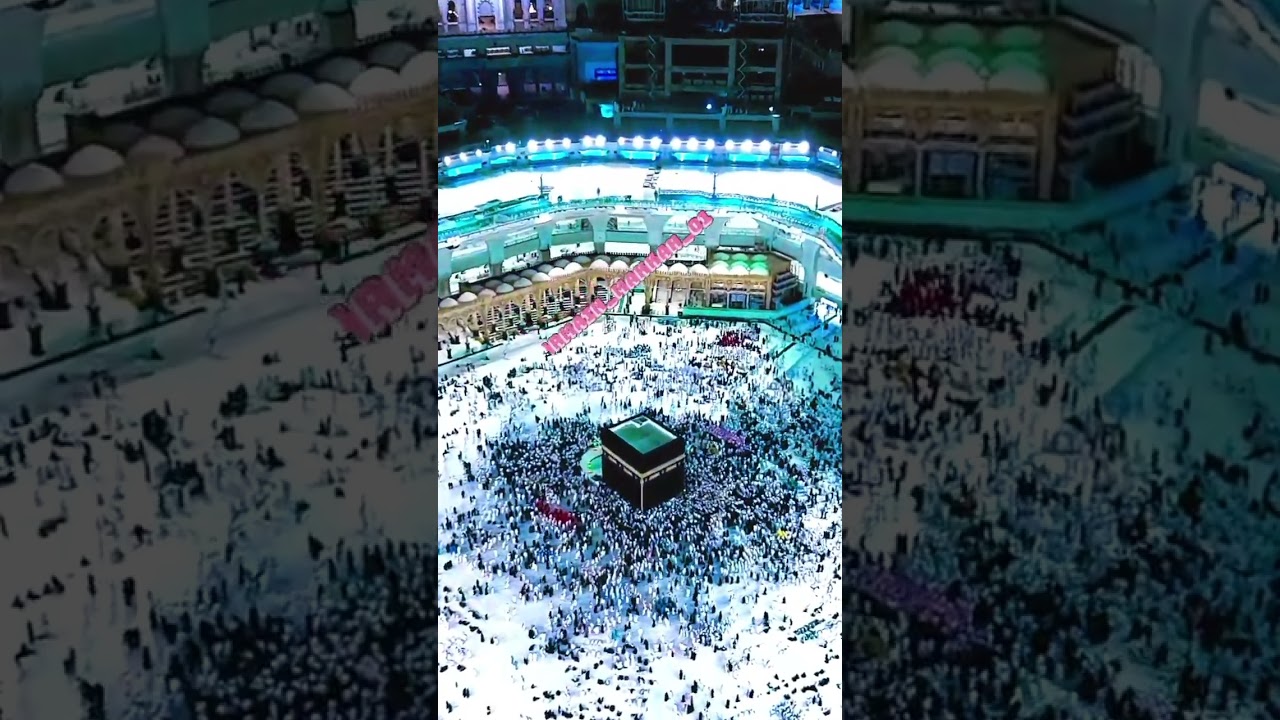 sunnifaz,based mom,mom reacts,the based mom,sunnyfaz,realtalk,sonny fazio