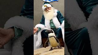 Dive into the magic of the season at YuleTides presented by GEICO! 🎄🌊
