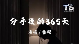 毒戀 - 分手後的365天【动态歌词/Pinyin Lyrics】Du Lian - Fen Shou Hou De 365 Tian