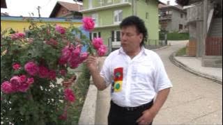 Suad Hadzic SUKI Dođi mala u Kopice