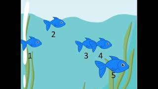 Once I Caught a Fish Alive -Key of C/2 versions