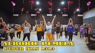 AEROBICS FOR BEGINNERS FAT BURNING SHAKES THE LATEST SONG