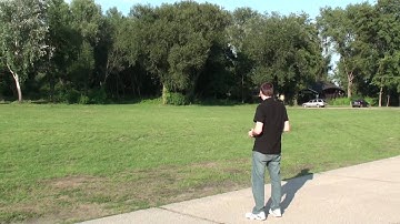 T-Rex 450 Pro - First flight