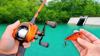 Fishing a Small Pond for MONSTER Bass!