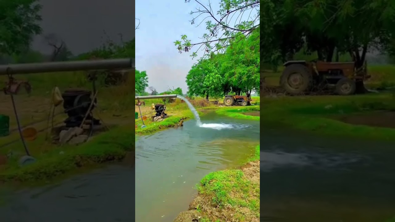 pinda Aly Malik Saab for you page YouTube