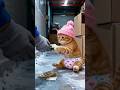 The little orange cat secretly went out to let his grandfather eat braised fish. #cat #love #shorts