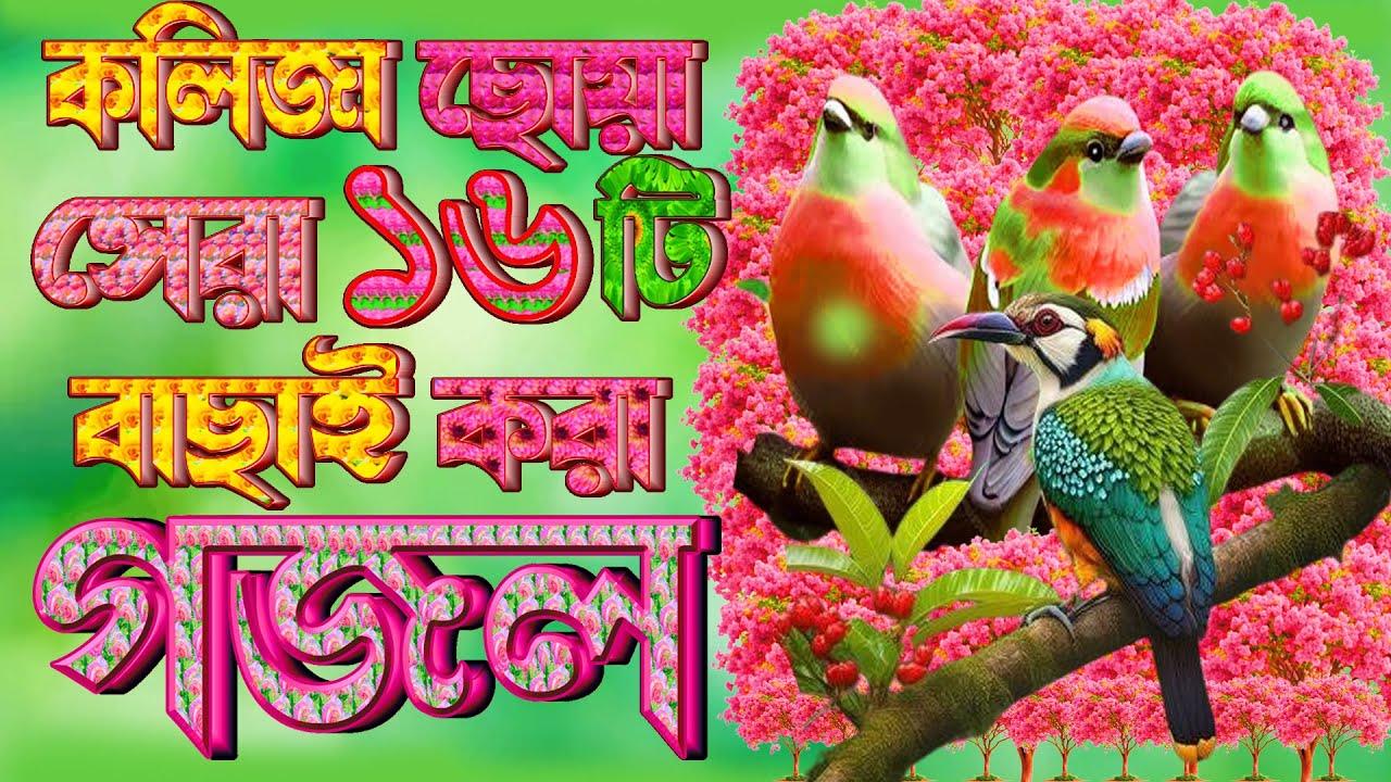 কষ্টের সেরা বাছাই করা ১৬ টি গজল |Heart Touching Gojol |Selected Islamic Gojol |Bangla Best Gazal