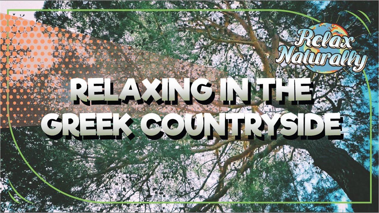 Relaxing in the Greek Countryside - Forest - Trees - Birds