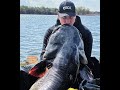 PESCUIT LA SOMN CU MOMEALA VIE PE LACUL TANCABESTI. PLANTAT LA BALIZA CU ZECK FISHING. (AVENTURA)