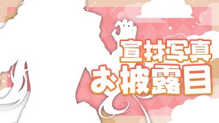獅子堂あかりの配信のサムネイル画像