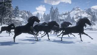 Black Herd on Blue Ice: From Barrow Lagoon to Lake Isabella (RDR2)
