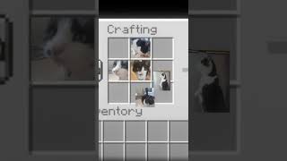#minecraft #craft #funk  #fypシ #poes #cat #kat #toetje #snoesje