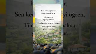 Vermeyi Bıraknca Görünenlerin Gidişi, Kendine Yetmenin Huzuru, Gönül Tokluğu:hayatın Özü Mevlâna’dan