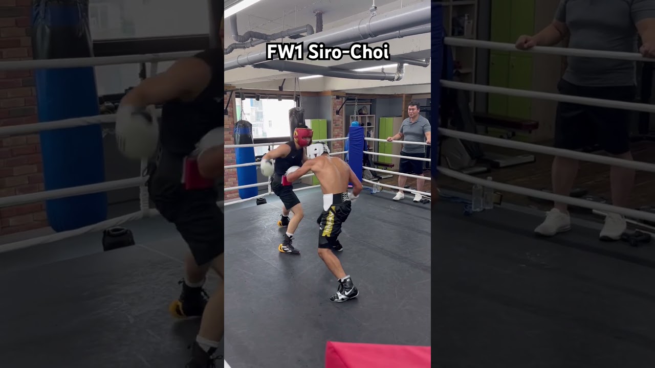 Siro Choi vs Jeon Seung-hyun Fighting sparring 