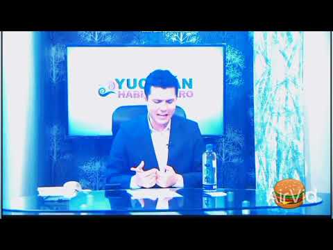 AYO1 O YO1 AYCACCCCION1 YO1 O SINCCE1- YUCATÁN HABLA CLARO 2020
