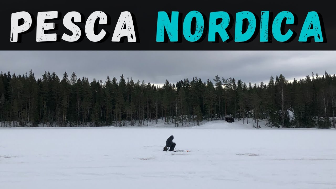 PESCA NORDICA 🎣 | BUCHI NEL LAGO GHIACCIATO [4K]