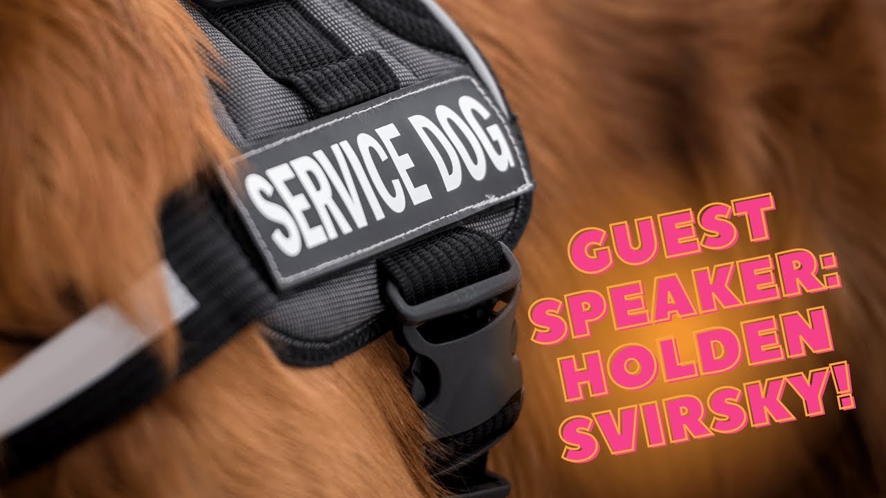 The Making of a Service Dog
