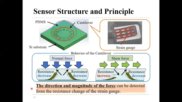 Detection of Rigid Object Embedded in Skin Model Using Tactile Sensor for Palpation