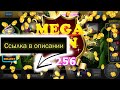 Прогнозы на спорт бесплатно - YouTube