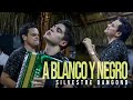 A Blanco y Negro - Silvestre Dangond, Ruben Lanao (En Vivo)