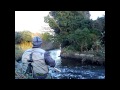 Drennan red range float rod 13 ft in action