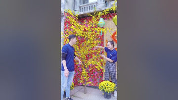 Từ vựng tiếng Anh ngày Tết | Scots English #youtubeshorts #shorts