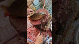 Giant Carp Fish Cutting Skills Live In Bangladesh Amazing Cutting Skills