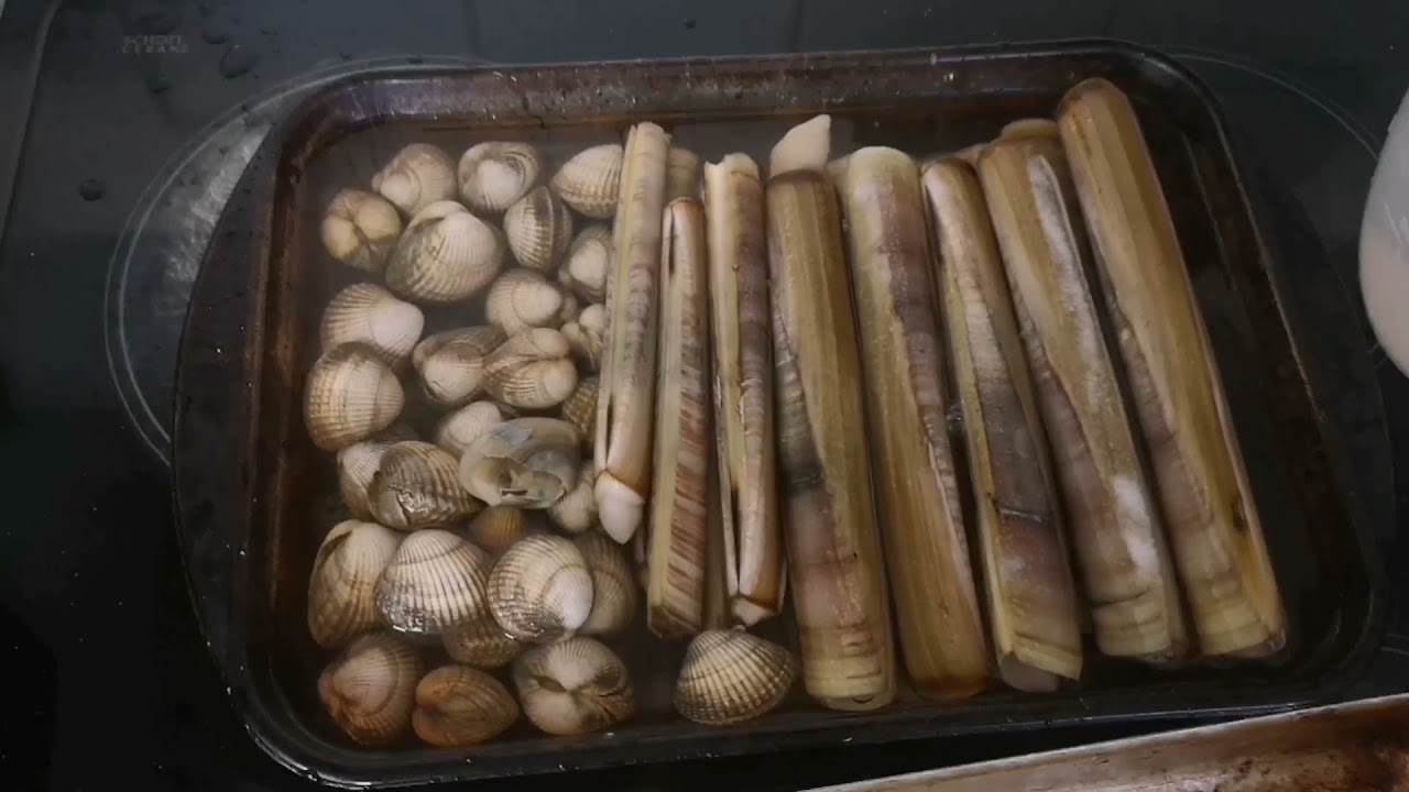RAZOR CLAMS and COCKLES foraged and COOKED . catch and cook (razor