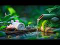 Instant Anxiety Relief - Just Close Your Eyes and Listen | Relaxing Music, Water Sounds