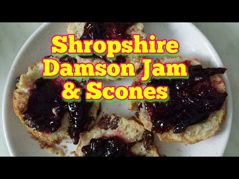 Video: Shropshire Prune Damsoni teave: kuidas kasvatada Shropshire Prune Damsoni puud