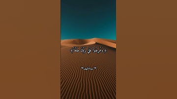 سبحان من رزقه هذا الصوت.. 🥺💗 #قرآن #القارئ__زكرياء__سريري