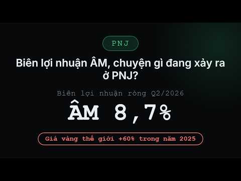 Video phân tích PNJ